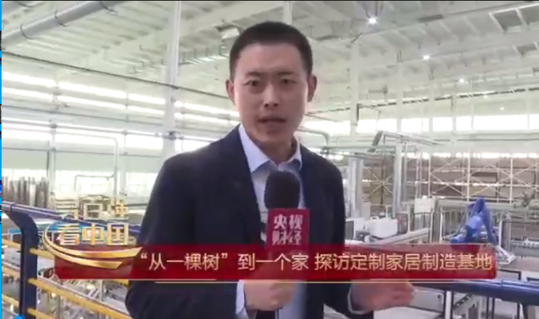 央視財經，尋百強看中國|“從一棵樹”到一個家，探訪定制家居制造基地